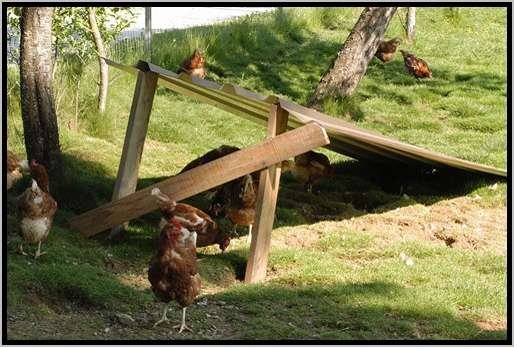 grnauslaufauslaufstrukturbeschattung7.jpg