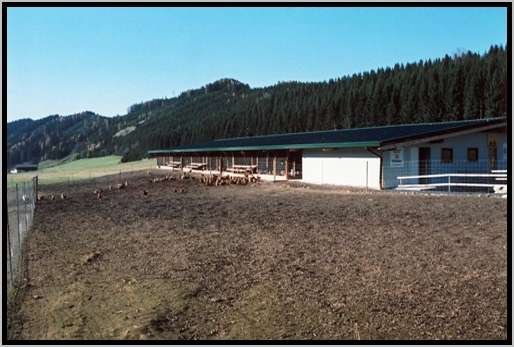 grnauslaufstallnaherbereich.jpg
