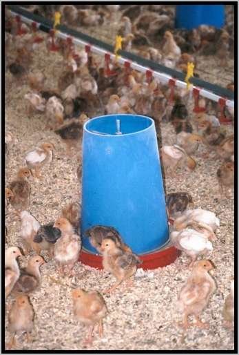 futteraufnahmerundtrogkcken.jpg