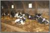 tiefstreustallholsteinfriesian10_small.jpg