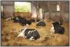 tiefstreustallholsteinfriesian124_small.jpg