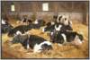 tiefstreustallholsteinfriesian130_small.jpg