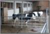 planbefestigterauslaufholsteinfriesian3_small.jpg