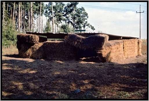 schlafhtteausstrohballen2.jpg
